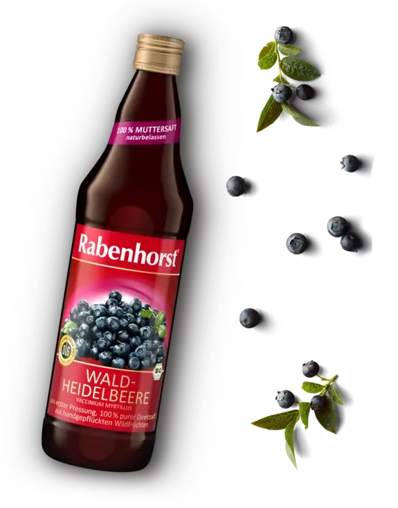 BLUEBERRY JUICE 330ML
